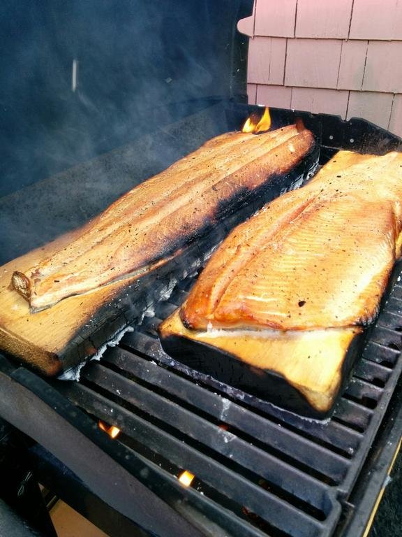 Wasabi_Ginger_Salmon_05