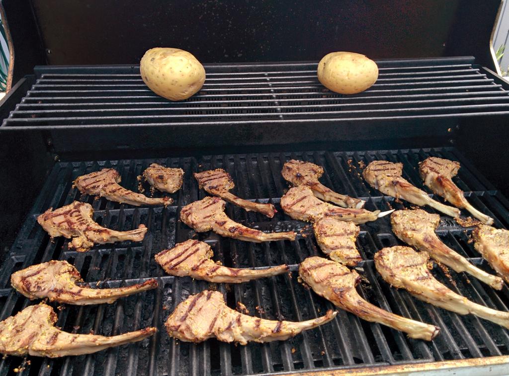 Lamb_Pops_00