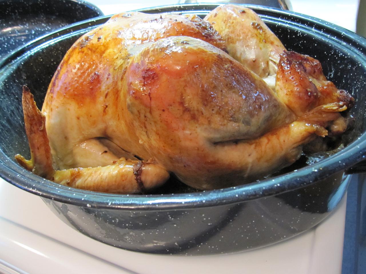 Roasting_Turkey_01