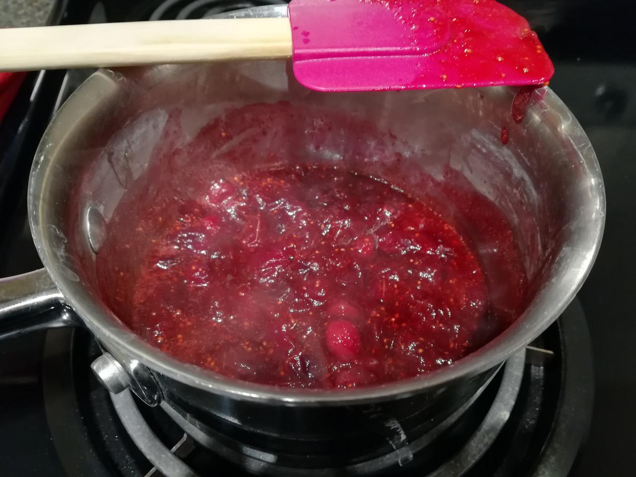 Balsamic_Cranberry_Chicken_04