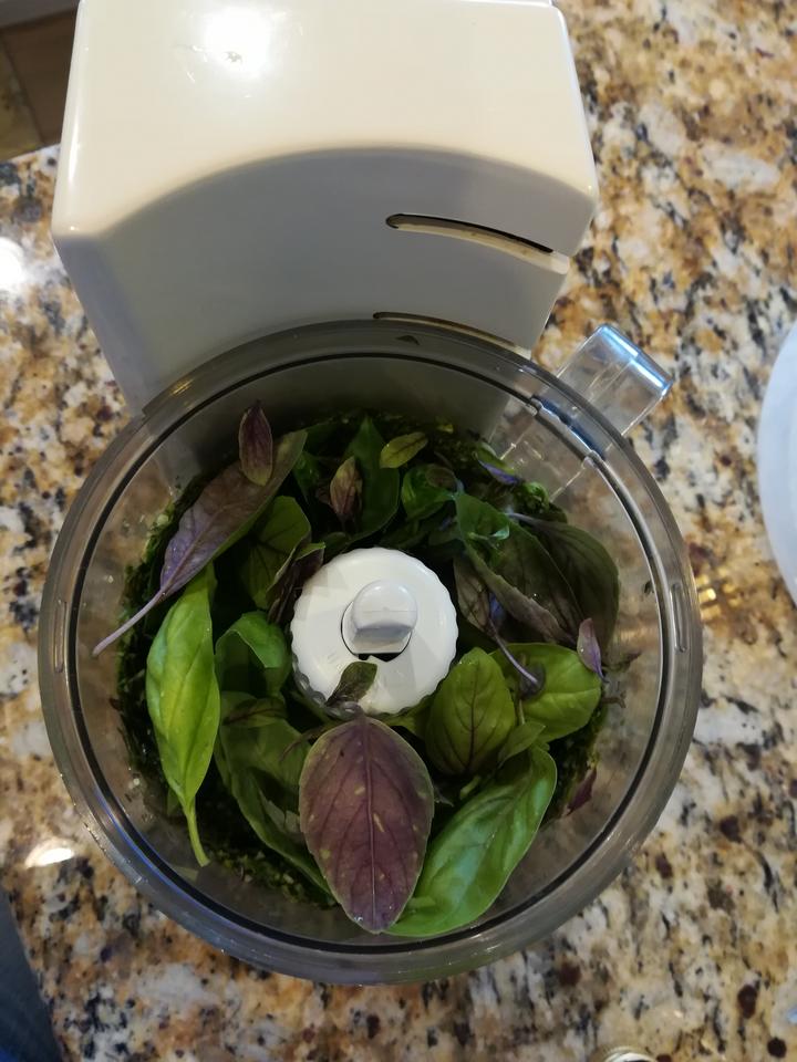 Pesto_01