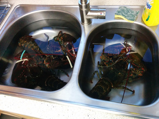 Roasted_Lobster_01