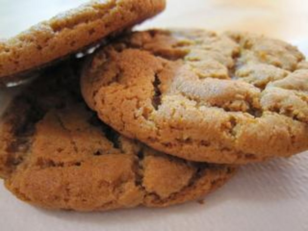 Ginger_Snap_02 Ginger_Snap_02