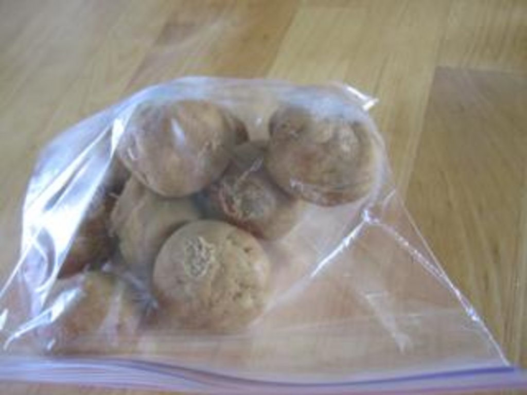 Ginger_Snap_03 Ginger_Snap_03