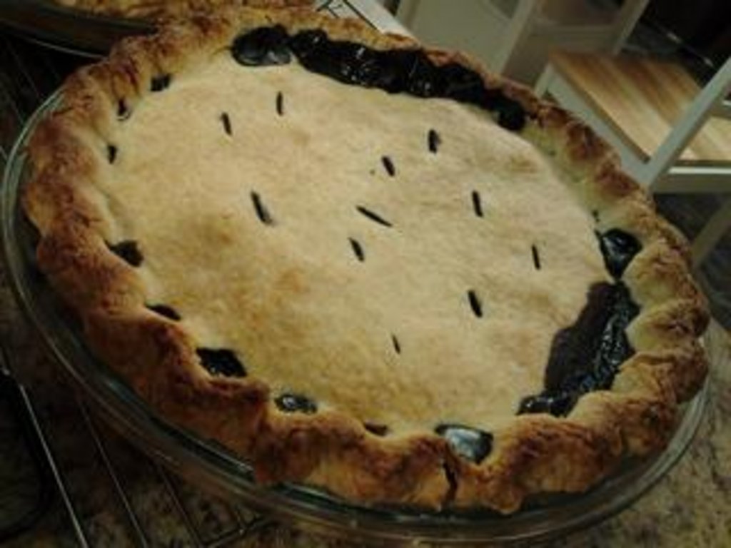 Blueberry_Pie_02